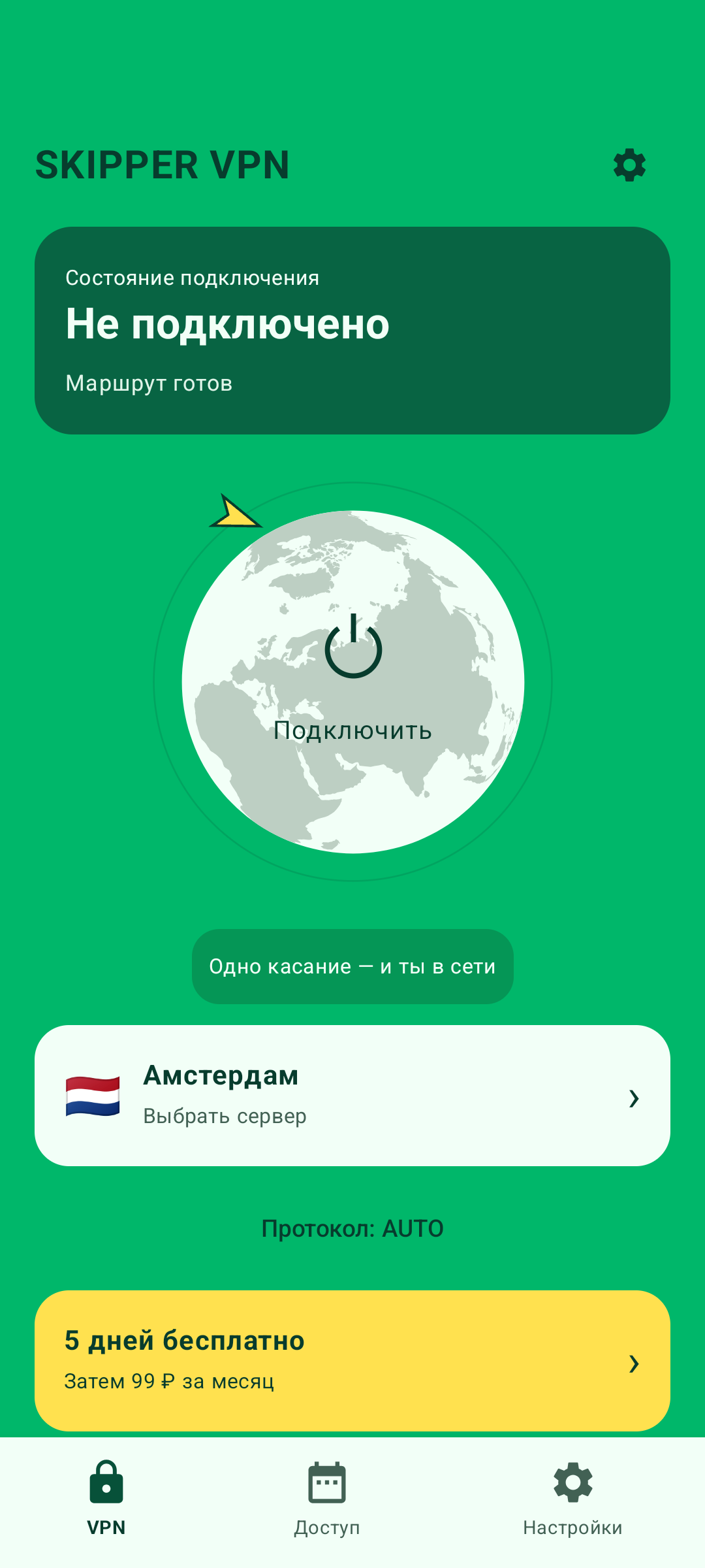 Главный экран тестовой сборки SKIPPER: подключение, сервер и состояние доступа